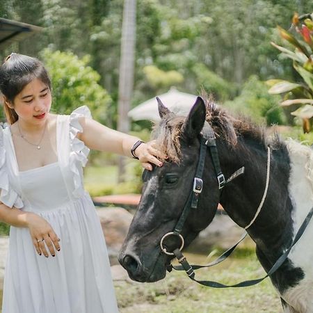 ไร่นาบัวหลวง คาเฟ่ & ฟาร์มสเตย์ Raina Bualuang Cafe & Farm Stay Ban Na No Esterno foto
