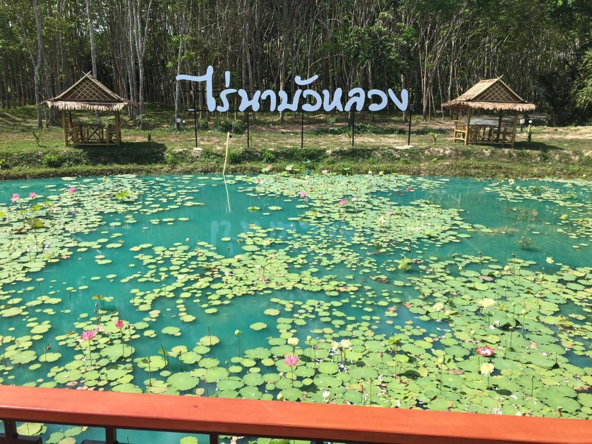ไร่นาบัวหลวง คาเฟ่ & ฟาร์มสเตย์ Raina Bualuang Cafe & Farm Stay Ban Na No Esterno foto