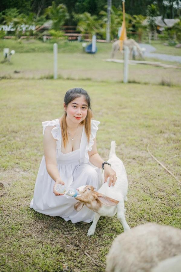 ไร่นาบัวหลวง คาเฟ่ & ฟาร์มสเตย์ Raina Bualuang Cafe & Farm Stay Ban Na No Esterno foto