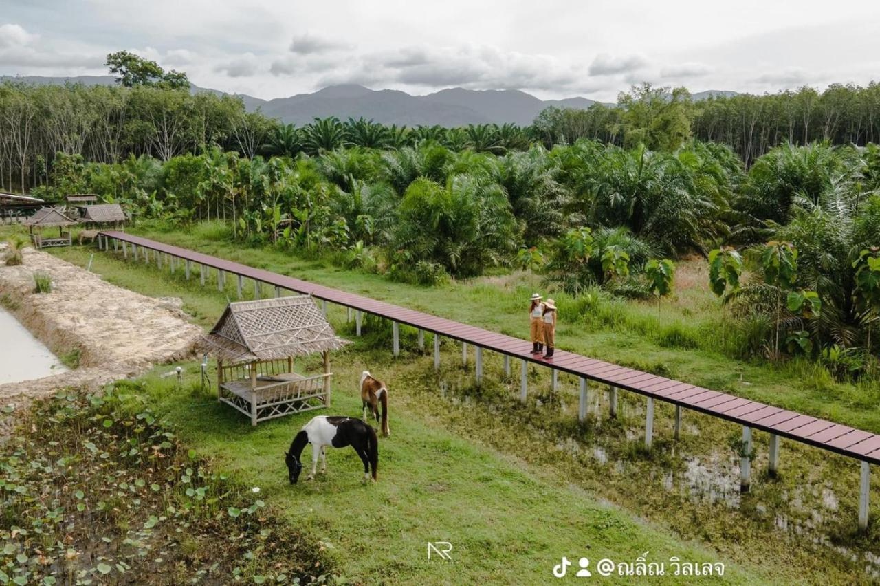 ไร่นาบัวหลวง คาเฟ่ & ฟาร์มสเตย์ Raina Bualuang Cafe & Farm Stay Ban Na No Esterno foto