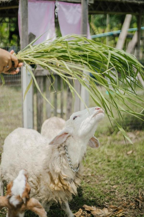 ไร่นาบัวหลวง คาเฟ่ & ฟาร์มสเตย์ Raina Bualuang Cafe & Farm Stay Ban Na No Esterno foto