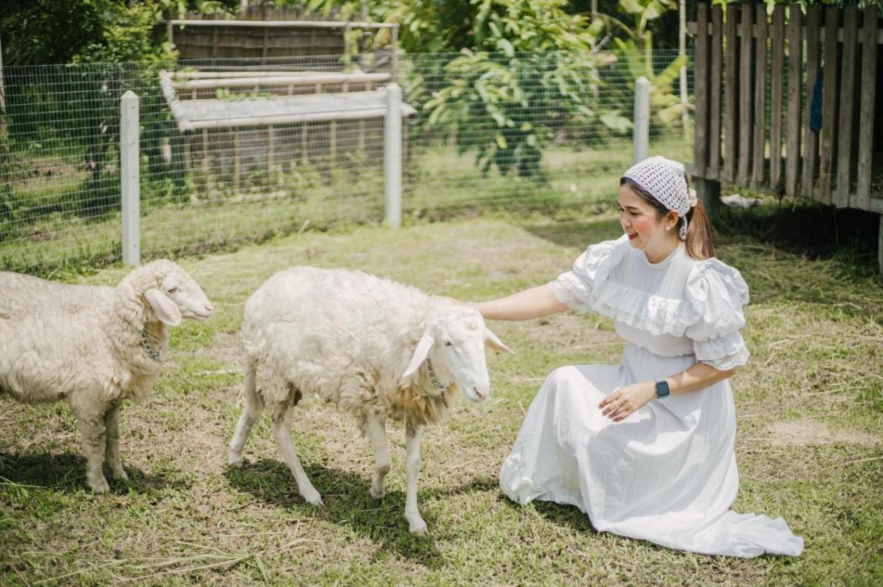 ไร่นาบัวหลวง คาเฟ่ & ฟาร์มสเตย์ Raina Bualuang Cafe & Farm Stay Ban Na No Esterno foto